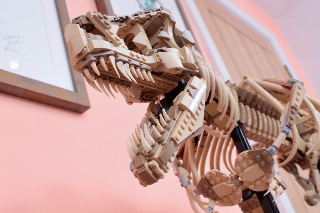 LEGO Jurassic Park 76968 Dinosaur Fossils Tyrannosaurus rex review 4 1024x683