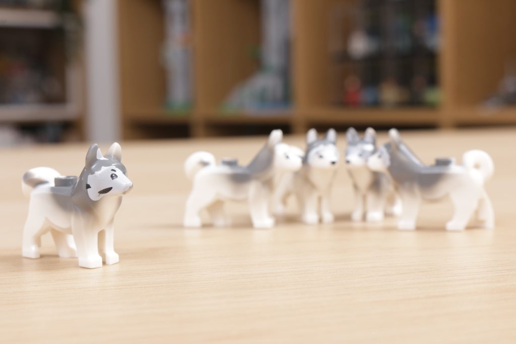 LEGO Husky dog misprint 12 1024x683