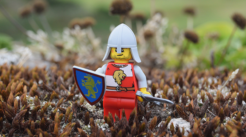 Brick Pic of the Day: Adventure