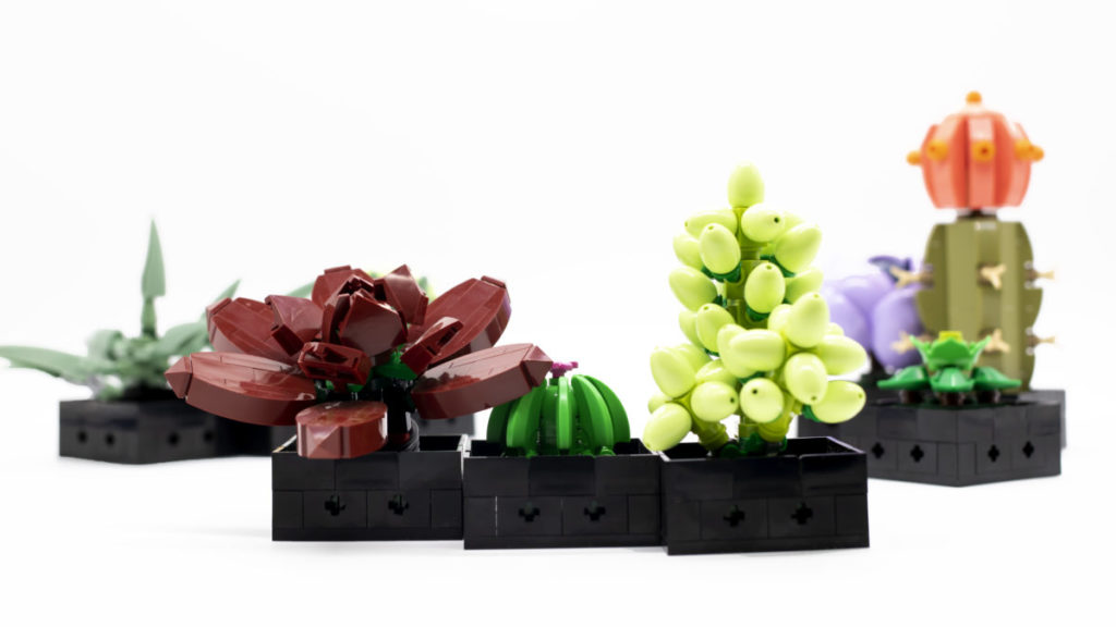 LEGO The Botanical Collection 10309 Succulents 15 1024x576