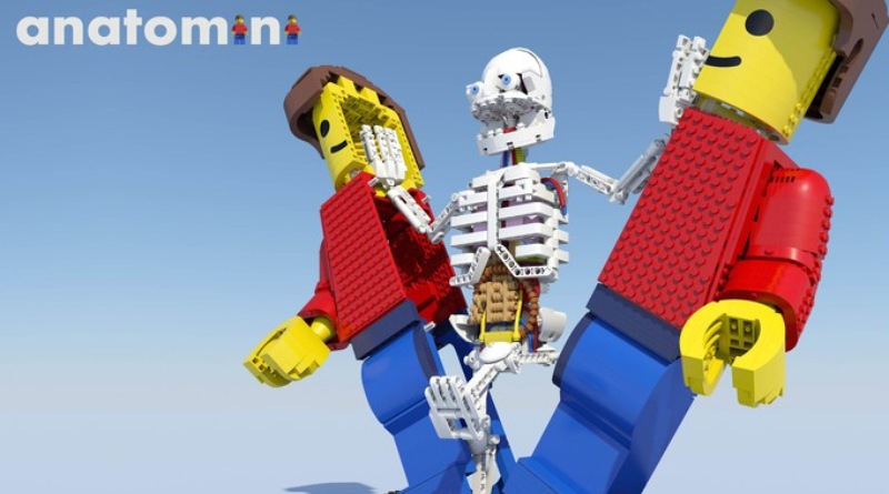Here's every returning LEGO Ideas project in the BrickLink Designer Program