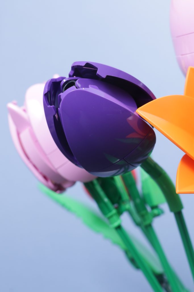 LEGO Botanicals 11501 Tulip Bouquet 11509 Flowering Cactus 11508 Daisies 11504 Peace Lily review 29 683x1024