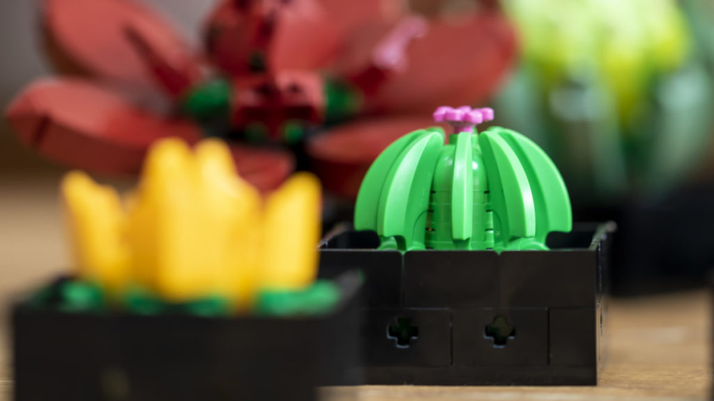 LEGO The Botanical Collection 10309 Succulents 5 1024x576