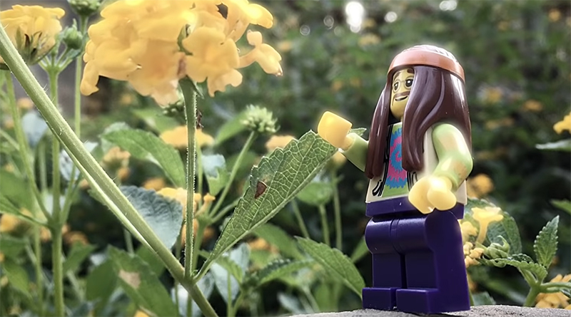 The Scumfrog's new music video features LEGO minifigures