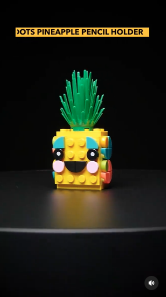 Pineapple fashion Shot