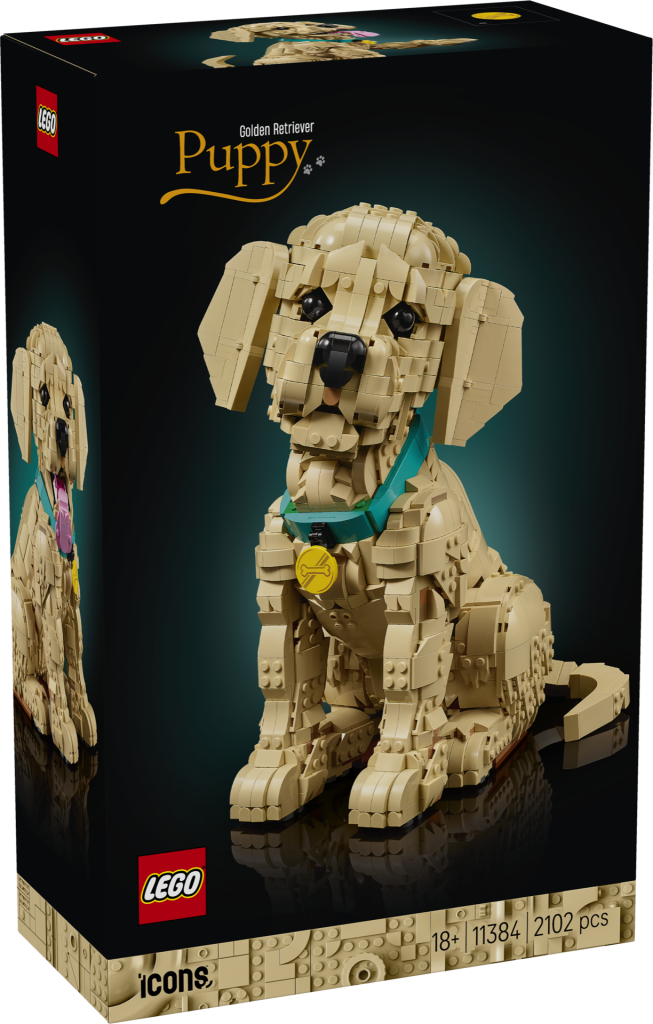 LEGO Icons 11384 Golden Retriever Puppy 2 653x1024