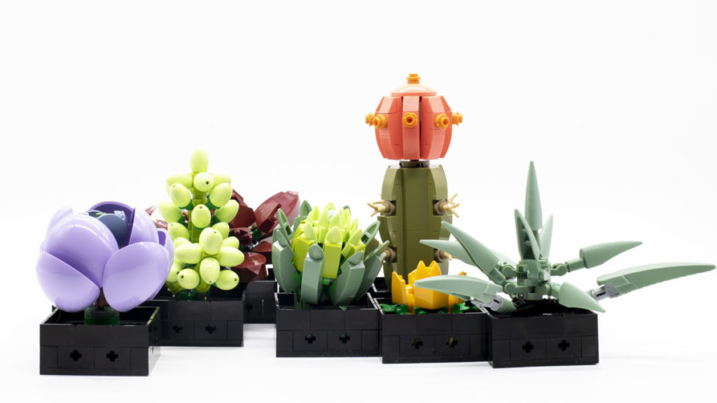 LEGO The Botanical Collection 10309 Succulents 31 1024x576