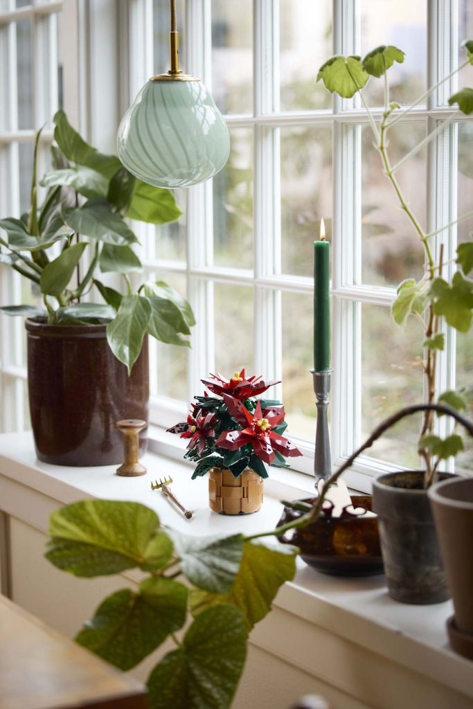 LEGO Icons Botanical Collection 10370 Poinsettia 13 683x1024